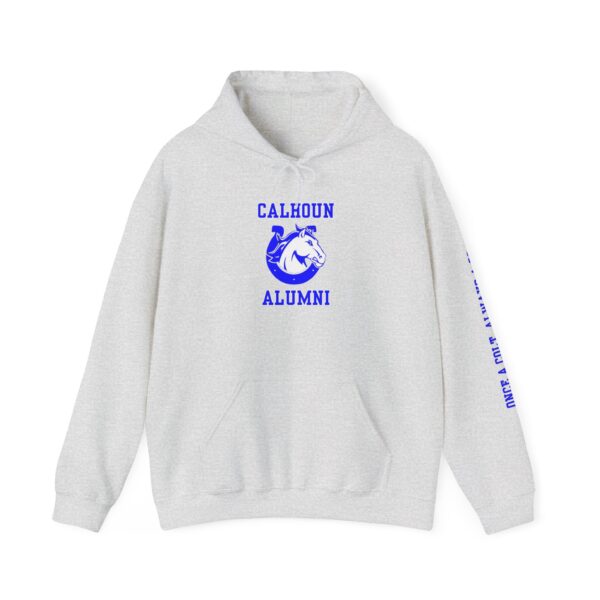 Calhoun Unisex Heavy Blend™ Hooded Sweatshirt With Sleeve - Image 10