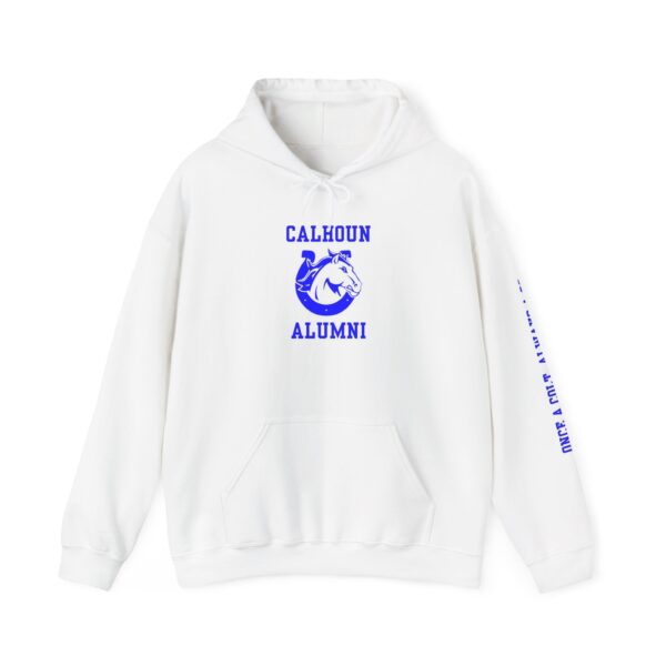 Calhoun Unisex Heavy Blend™ Hooded Sweatshirt With Sleeve - Image 6